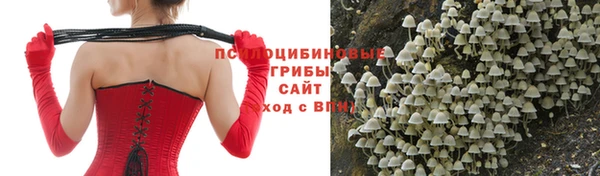 спайс Абинск