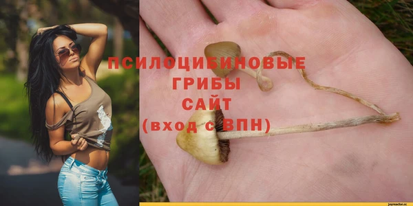 наркотики Абаза