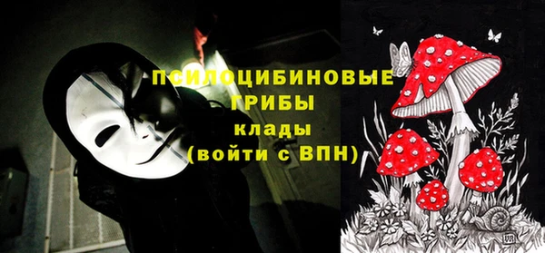 МДПВ Абдулино