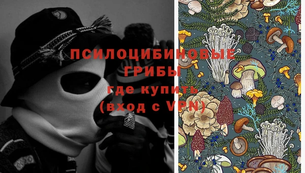 МДПВ Абдулино