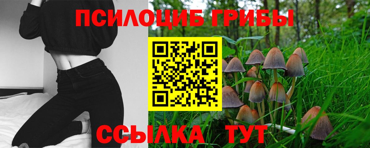 Галлюциногенные грибы Cubensis  Вход с VPN  Галлюциногенные грибы Cubensis  Ялта 